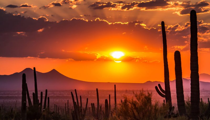 Arizona